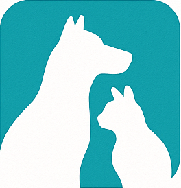 FVIC logo